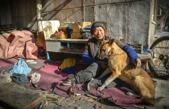 暖心,主人养活狗狗,狗狗帮助残疾主人推车 暖心,主人养活狗狗,狗狗帮助残疾主人推车