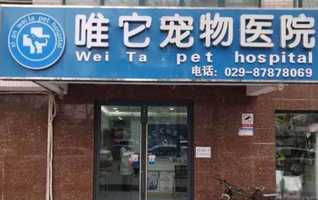 唯它宠物医院在哪里