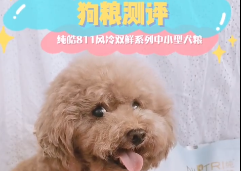 狗粮测评|纯皓811风冻双鲜肉犬粮狗狗吃得香 狗粮测评|纯皓811风冻双鲜肉犬粮狗狗吃得香