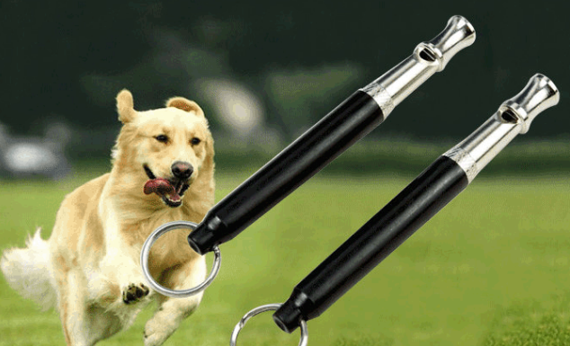 犬笛有什么用 犬笛有什么用