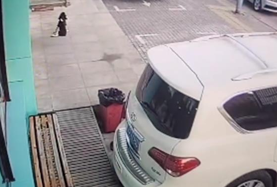 辽宁一女子将骨折的狗丢弃宠物医院门口,狗狗拖着后腿拼命追主人 辽宁一女子将骨折的狗丢弃宠物医院门口,狗狗拖着后腿拼命追主人