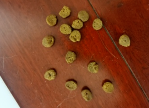 揭秘Hagen Nutrience哈根纽翠斯干粮上的小孔