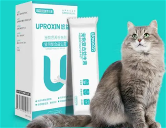 小猫肠胃炎吃什么药
