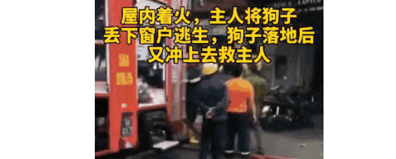 小区起火,主人背3只猫牵1只狗从33楼一口气跑到楼下:家里最贵重的是你们... 小区起火,主人背3只猫牵1只狗从33楼一口气跑到楼下:家里最贵重的是你们...
