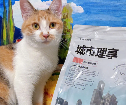 城市理享猫粮：为都市猫咪提供卓越营养