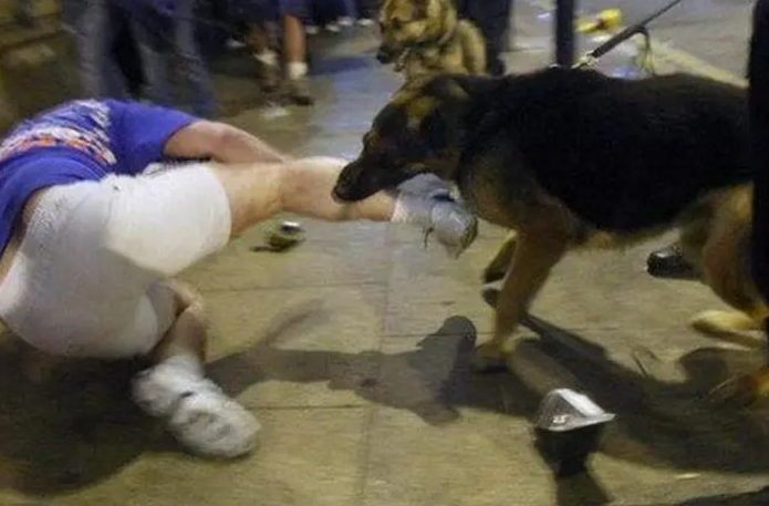 狂犬病发病活着的6个人 狂犬病发病活着的6个人