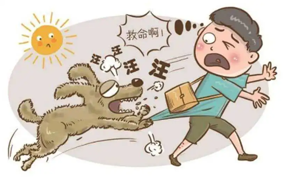 狂犬病是怎么产生的