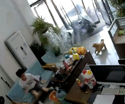 门外汽车要撞进来了,狗狗提前预判到危险吠叫提醒主人 门外汽车要撞进来了,狗狗提前预判到危险吠叫提醒主人