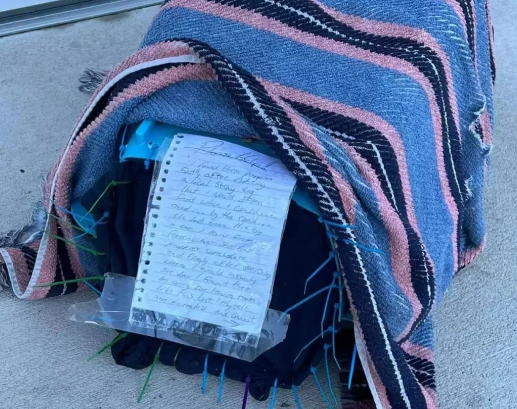 一窝奶狗被装箱子遗弃在收容所门口,里面留下一封信吐露真心,内容太心酸...