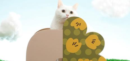 麻薯猫窝多少钱