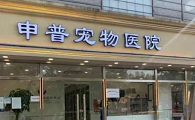 申普宠物医院总院电话