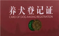 没有狗证在家里养都不行吗