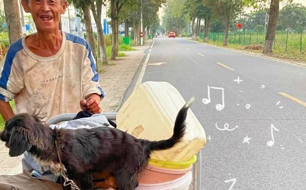 老人陆续收养7只流浪狗,带着汪们一起工作:垃圾车成了撸狗车 老人陆续收养7只流浪狗,带着汪们一起工作:垃圾车成了撸狗车