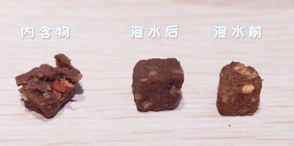 史上最吸猫的猫粮：加拿大哈根纽翠斯黑钻