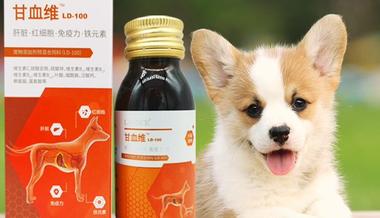 蓝特斯甘血维怎么看是不是正品 蓝特斯甘血维怎么看是不是正品