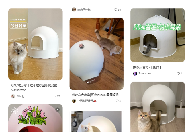 猫砂卖出上亿营收——Pidan的爆品打造公式、品类拓展逻辑以及差异化出海打法