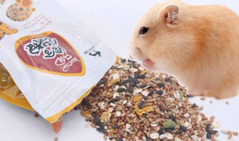 小楠瓜仓鼠粮适口性