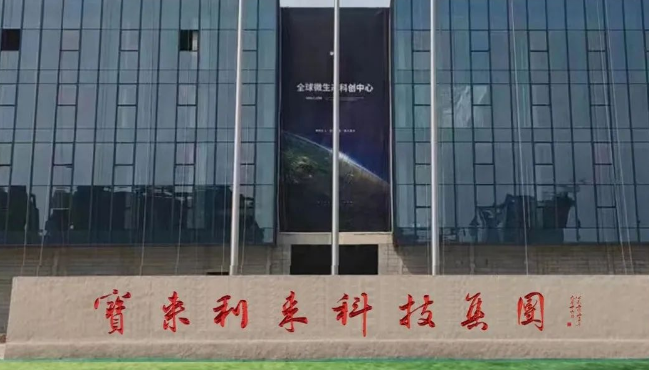 宝来利来墨玉 宝来利来墨玉