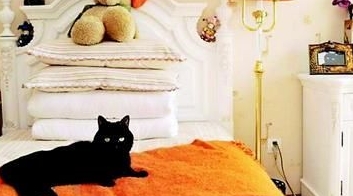卧室里养猫对人身体有害吗?