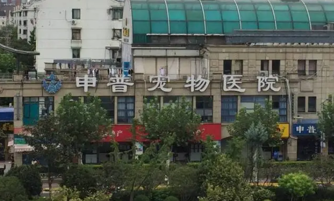 申普宠物医院怎么样