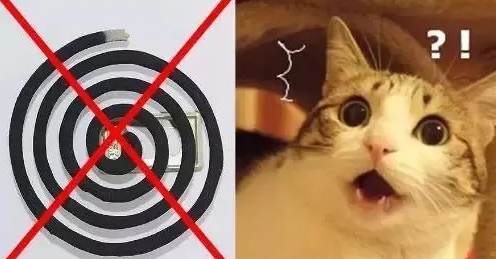 蚊香对猫有没有影响 蚊香对猫有没有影响