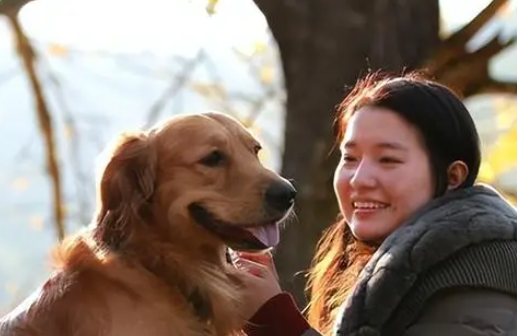 长春50岁爱狗女子 为了三只宠物狗多次放弃相亲 长春50岁爱狗女子 为了三只宠物狗多次放弃相亲
