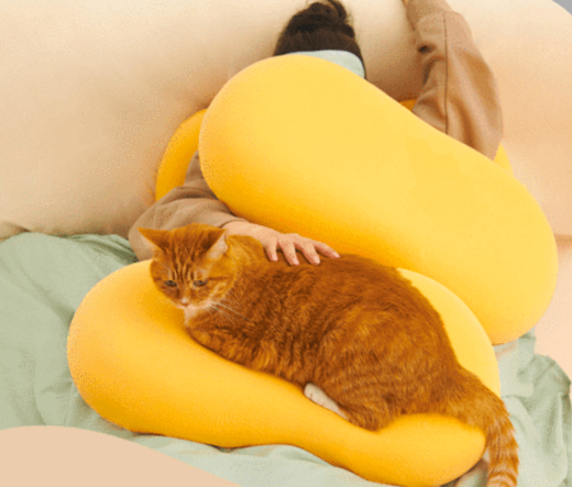 躺岛猫肚皮枕头为什么这么贵