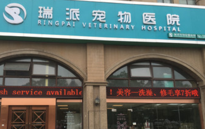 瑞派宠物医院有分店吗-宠物网