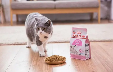 每周推送--美滋元天然高钙营养配方猫犬奶糕