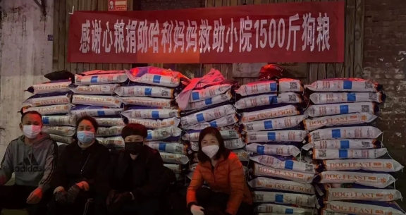 心粮公益丨救助流浪动物,用心传递温暖! 心粮公益丨救助流浪动物,用心传递温暖!