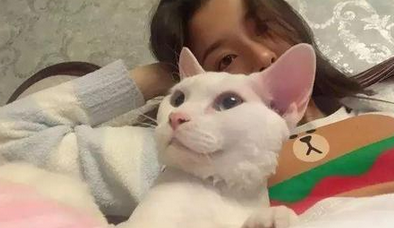 女生给男生发猫照片该怎么回 女生给男生发猫照片该怎么回