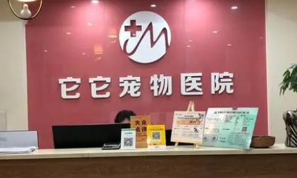 它它宠物医院可以加盟吗