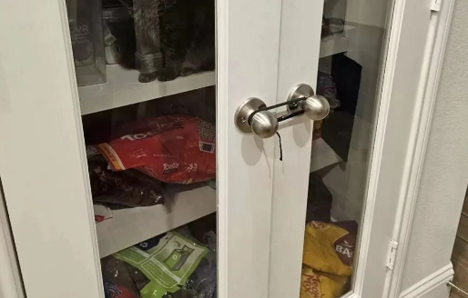 零食柜门明明被牢牢拴住,猫咪却能偷吃成功,到底是怎么做到的? 零食柜门明明被牢牢拴住,猫咪却能偷吃成功,到底是怎么做到的?