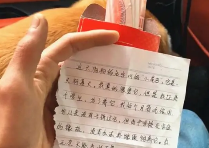狗子被装纸箱丢弃树下,拆开纸箱发现红包 狗子被装纸箱丢弃树下,拆开纸箱发现红包