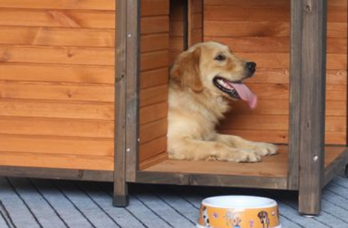 狗屋狗窝怎么做