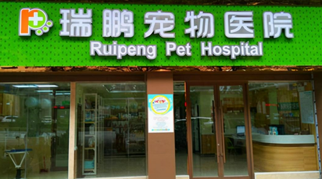 给猫狗治病的宠物医院,吸金能力吊打给人治病的莆田系? 给猫狗治病的宠物医院,吸金能力吊打给人治病的莆田系?