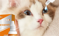 人用的眼药水能给猫用吗