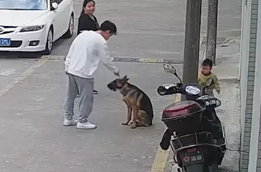 主人正在教育狗狗,孩子在一旁扑通跪倒:放它一条狗命吧! 主人正在教育狗狗,孩子在一旁扑通跪倒:放它一条狗命吧!