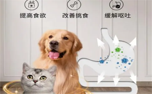 宠益诺