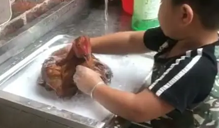 网友把宠物鸡给母亲养,儿子却做了一件让自己哭笑不得的事 网友把宠物鸡给母亲养,儿子却做了一件让自己哭笑不得的事