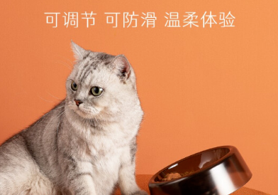 小红栗喂食碗：守护猫咪颈椎健康的选择