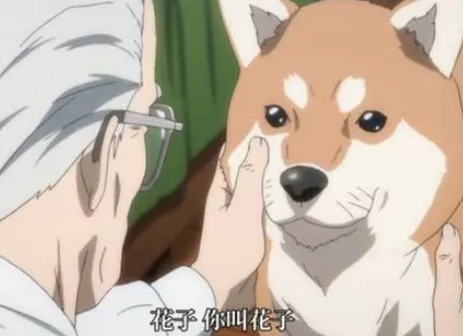 犬屋敷漫画好看吗 犬屋敷漫画好看吗