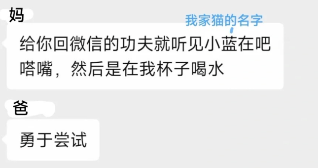 自从捡到一只小猫后,无论猫做什么爸爸都会夸奖,网友:破案,你爸是清汤大老爷 自从捡到一只小猫后,无论猫做什么爸爸都会夸奖,网友:破案,你爸是清汤大老爷
