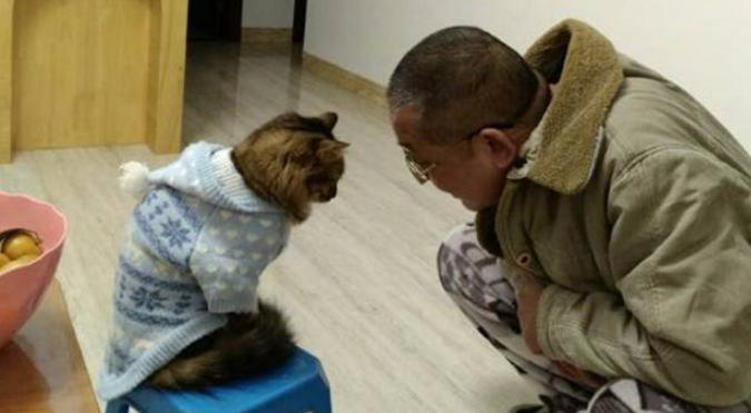 为什么父母不让养猫