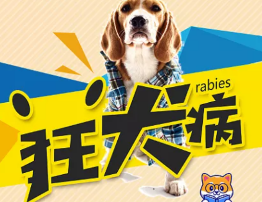 狂犬病发作症状 狂犬病发作症状