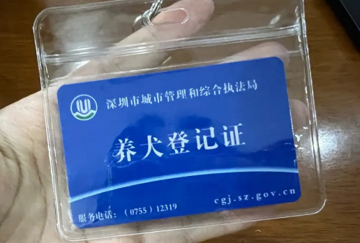 狗证超过多久没审就要重新办