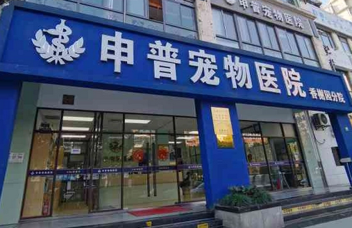 申普宠物医院在哪里