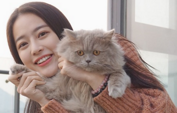 女生朋友圈背景是猫什么意思 女生朋友圈背景是猫什么意思