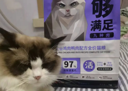 奇仔猫粮：天然美味，猫咪之选