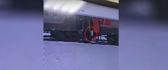 “重大丑闻”!俄媒:一宠物猫被列车员扔下火车后死亡,当事公司道歉 “重大丑闻”!俄媒:一宠物猫被列车员扔下火车后死亡,当事公司道歉